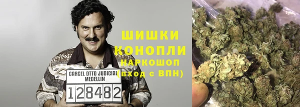 СК Новозыбков