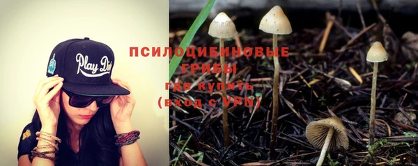 ALPHA PVP Новодвинск