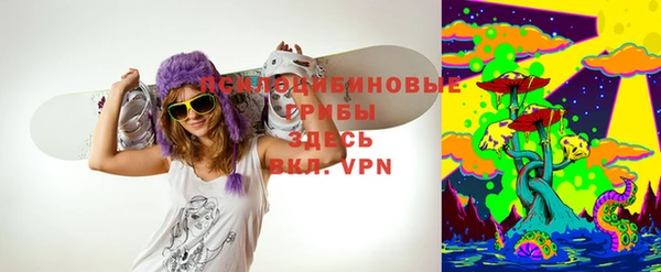 СК Новозыбков