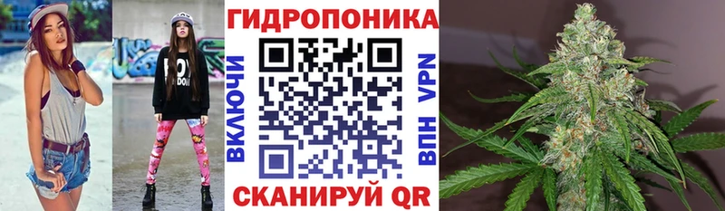 Марихуана THC 21%  Купить закладки  Нолинск 